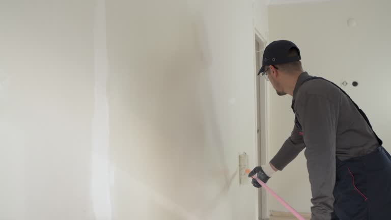 Best Repainting for Renovations  in Tolleson, AZ